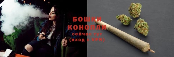 мдпв Богданович