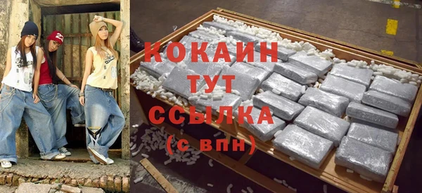 мдпв Богданович