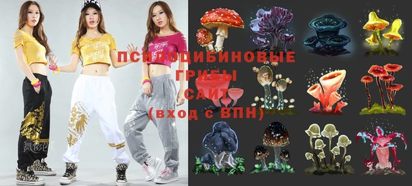MDMA Premium VHQ Богородицк