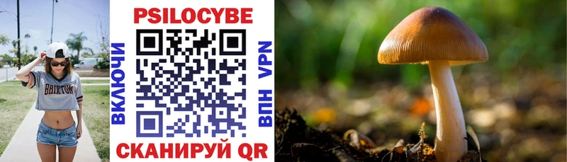 Галлюциногенные грибы Cubensis  MEGA рабочий сайт  Якутск  где купить наркотик 